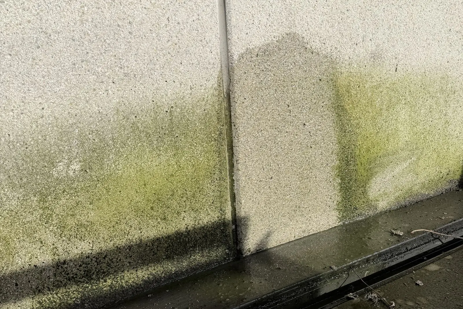 Fassade